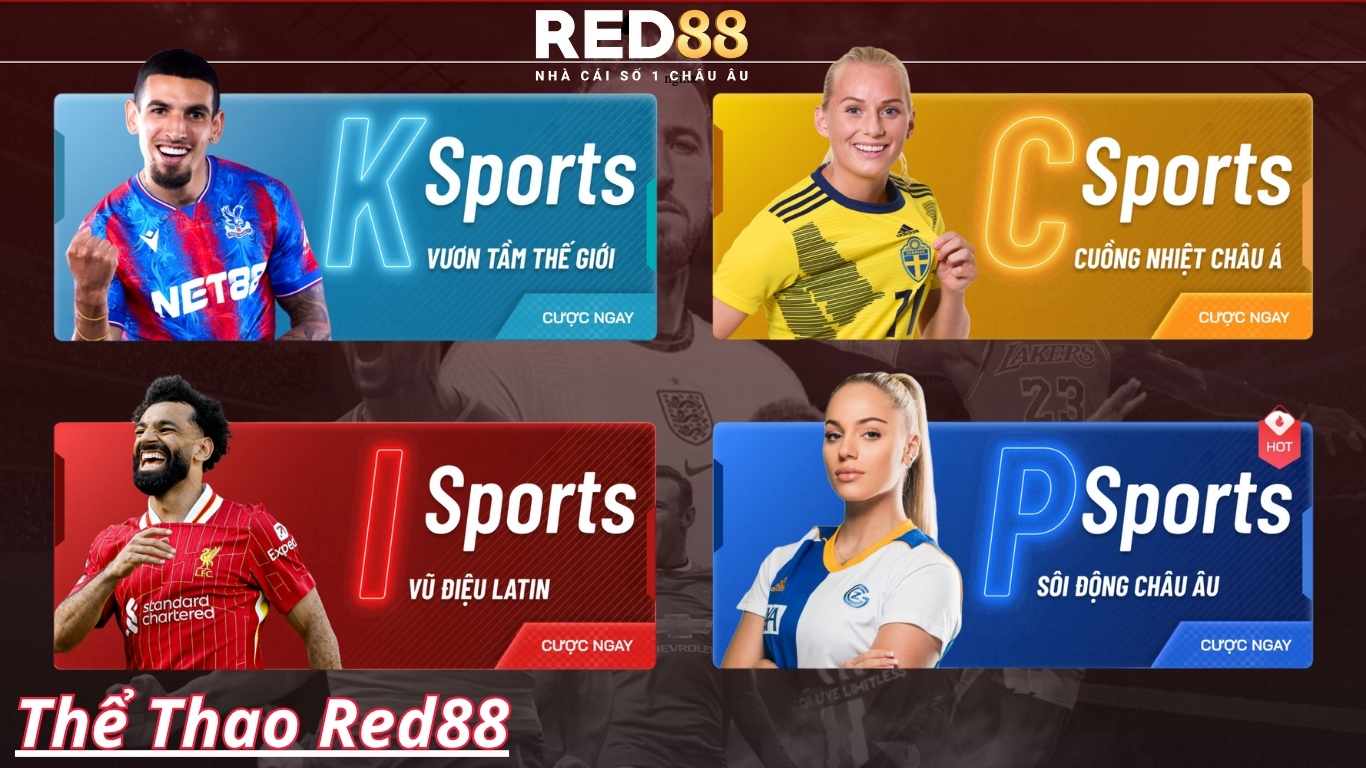 Tỷ lệ kèo cược thể thao phổ biến tại Red88